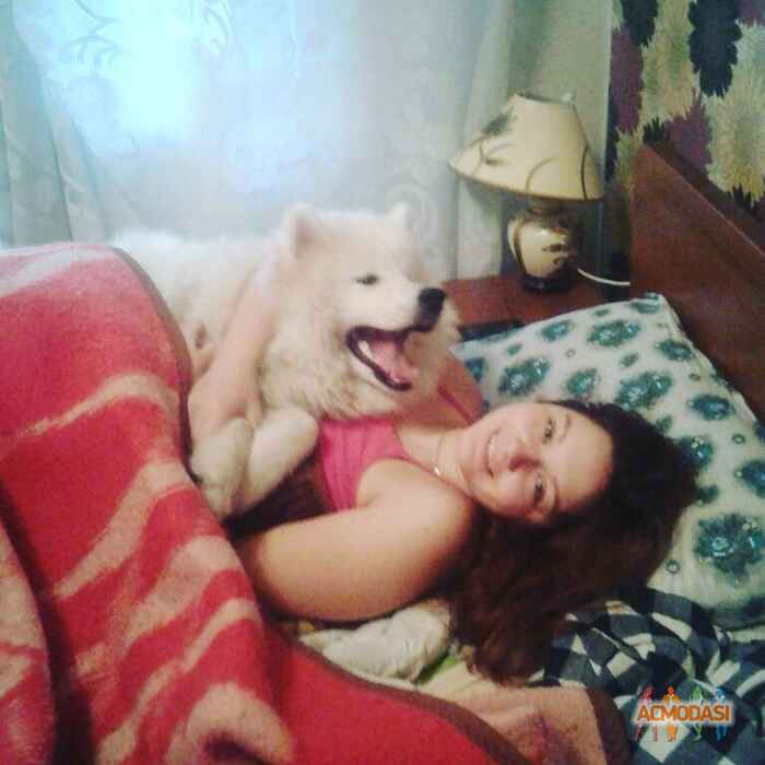 Настя  Диканская фото №1039196. Завантажено 03 Квітня 2017