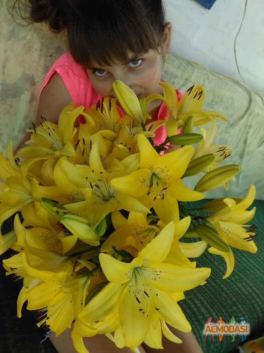Марина Павлівна Ревека фото №1425858. Завантажено 22 Липня 2019