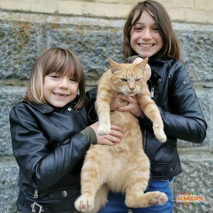 Елизавета Евгеньевна Балковская фото №1477314. Завантажено 18 Листопада 2019
