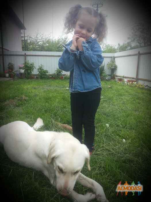 Уляна Мирославівна Олійник фото №1172867. Завантажено 26 Січня 2018