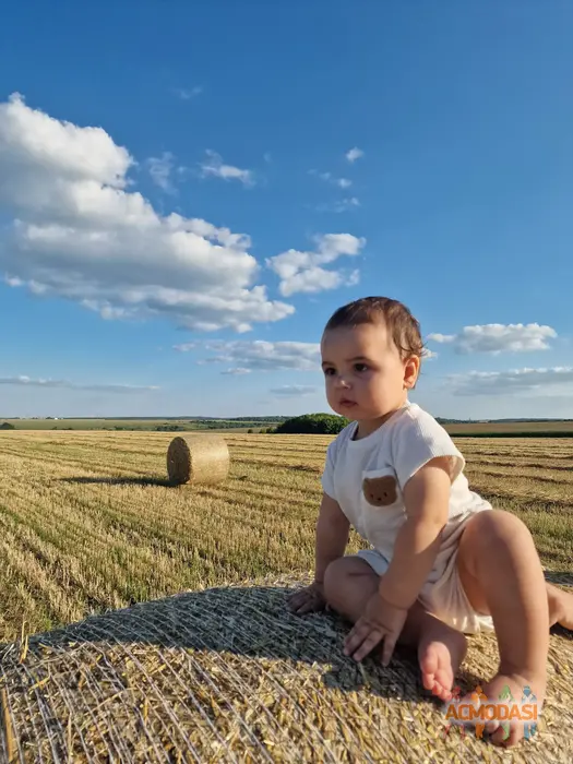 Давид  Петлінський фото №1746318. Завантажено 20 Серпня 2025