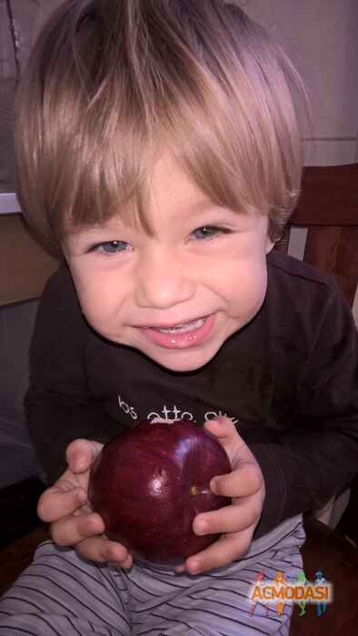 Макар Володимирович Васюта фото №1006631. Завантажено 13 Січня 2017