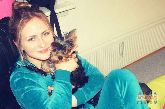 Ольга  Соломаха фото №1016065. Завантажено 04 Лютого 2017