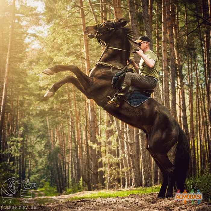 Олег Ярославович Юрчишин фото №803222. Завантажено 23 Травня 2015