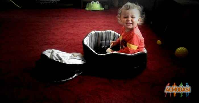 Ритка  Маргаритка фото №1045679. Завантажено 21 Квітня 2017