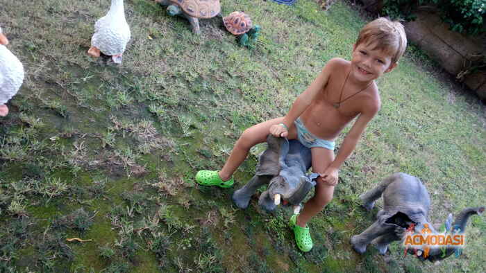 Максим Витальевич Еременко фото №1067350. Завантажено 16 Червня 2017