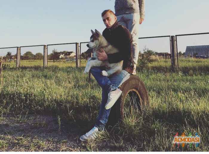 Олександр Васильович Левківський фото №1257317. Завантажено 12 Липня 2018