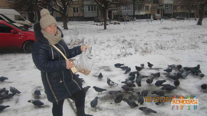Дар