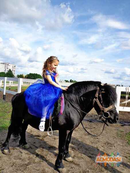 Маргарита Викторовна Шахматова фото №1258028. Завантажено 13 Липня 2018