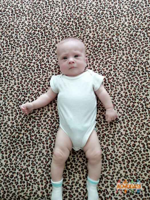 Александра  Поляничко фото №1537632. Завантажено 10 Червня 2020