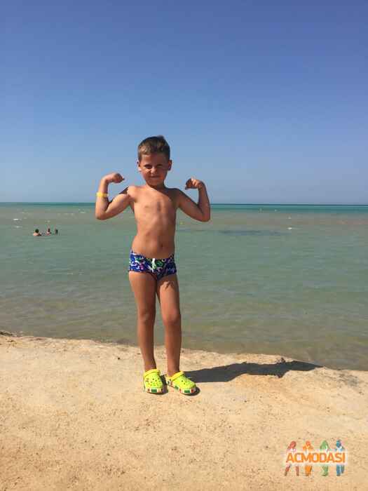 Назар Вадимович Шевченко фото №1140544. Завантажено 21 Листопада 2017