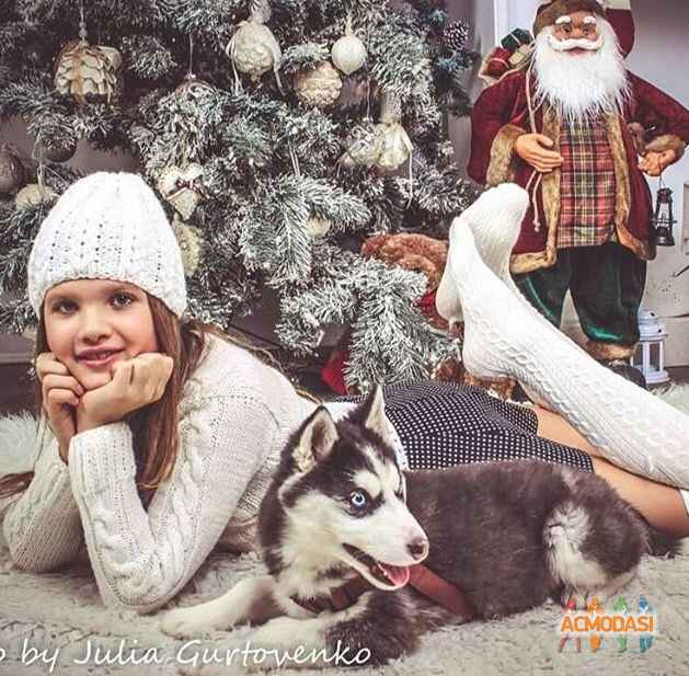 Вiкторiя Олександрiвна Миколайчук фото №1157031. Завантажено 26 Грудня 2017