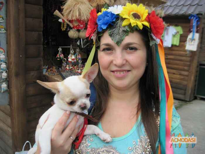 Оксана Владимировна Рязанова фото №655255. Завантажено 19 Травня 2014