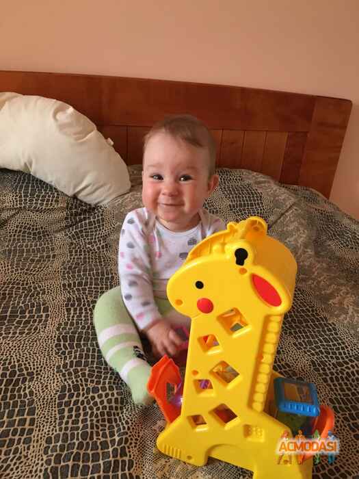 Злата Миколаївна Коваленко фото №1055974. Завантажено 19 Травня 2017