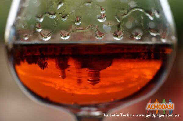 Valentin  Torba фото №1126103. Завантажено 29 Жовтня 2017