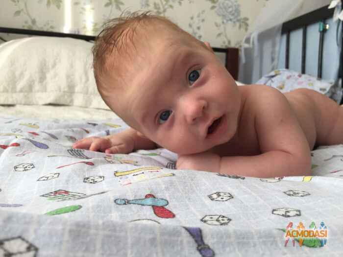 Андрей Александрович Семинько фото №1037534. Завантажено 30 Березня 2017