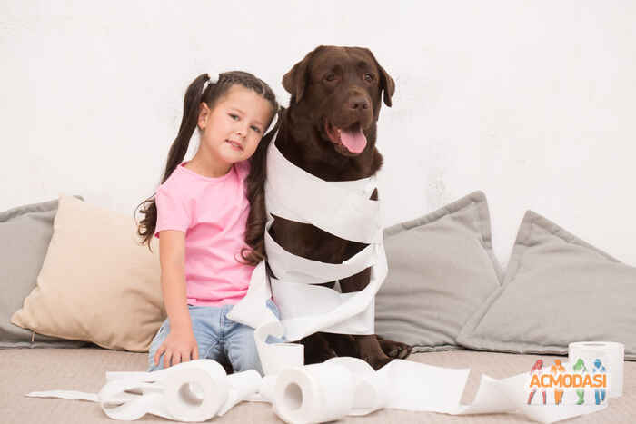 Соломія Олександрівна  фото №1087603. Завантажено 05 Серпня 2017