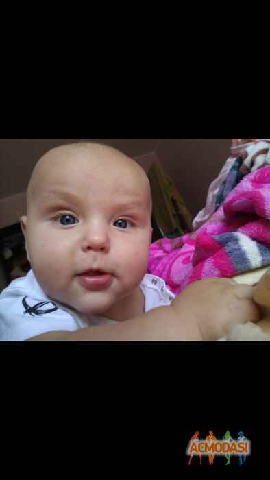 Лука Денисович Грабенко фото №1115988. Завантажено 10 Жовтня 2017