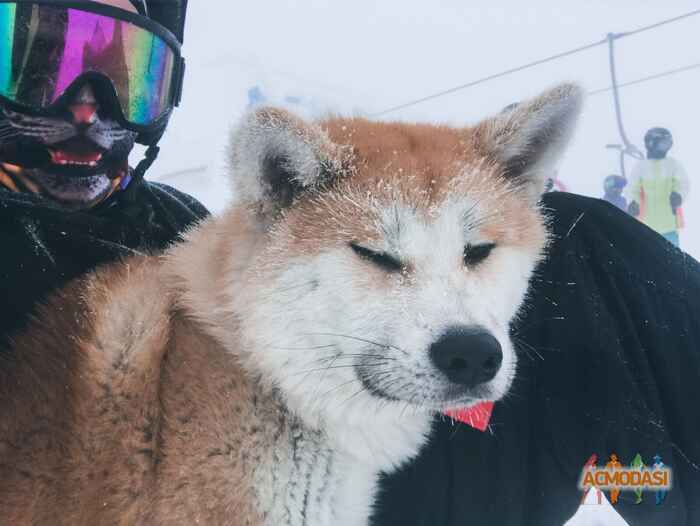 Сергей Михайлович Сунко фото №1472527. Завантажено 08 Листопада 2019