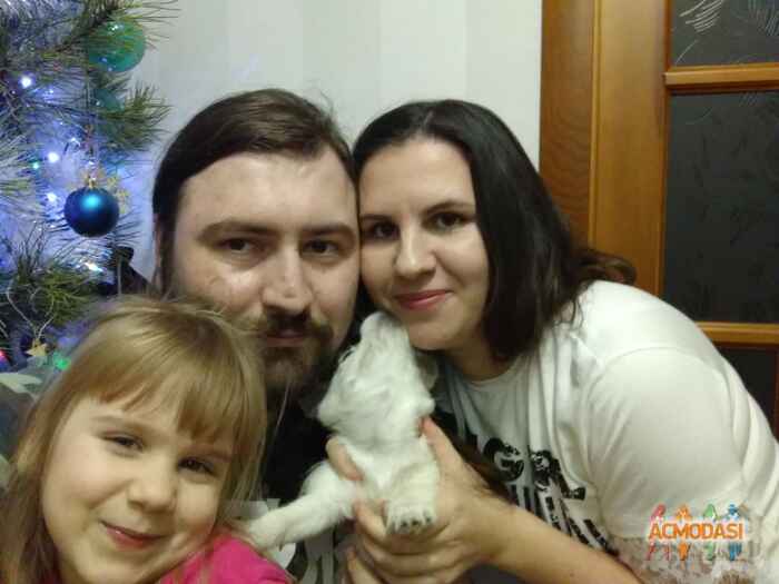 Світлана Вікторівна Стаховська фото №1182028. Завантажено 08 Лютого 2018