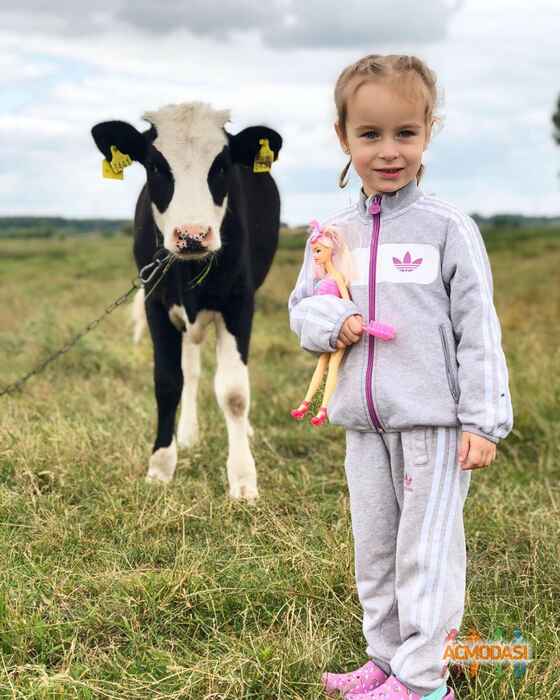 Соломія Богданівна Тарасюк фото №1421755. Завантажено 12 Липня 2019