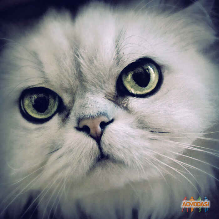 lalala  lalala фото №151065. Завантажено 17 Лютого 2012