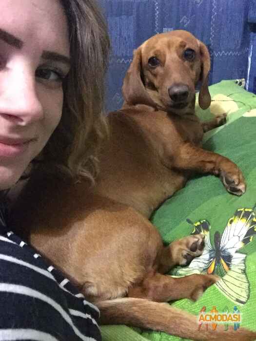 Екатерина Андреевна Федорова фото №1060959. Завантажено 31 Травня 2017