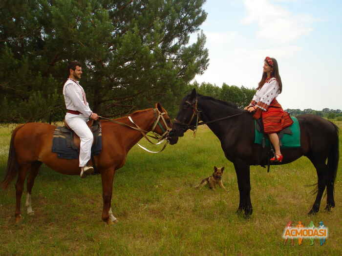 Ірина Леонідівна М фото №1065221. Завантажено 12 Червня 2017