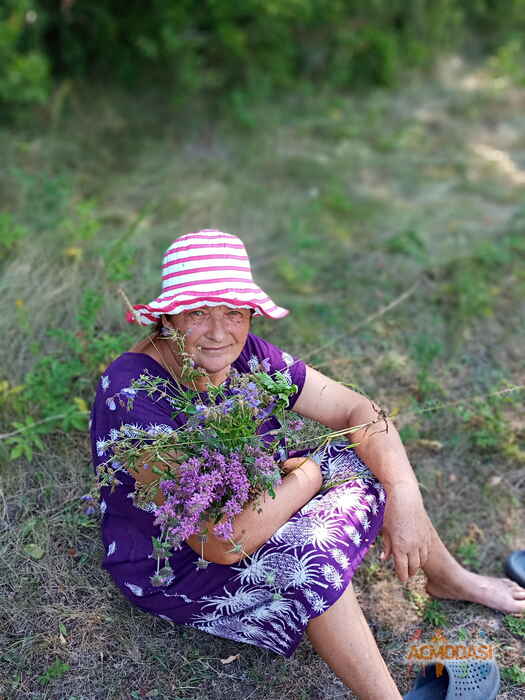 Galina  Koval фото №1563053. Завантажено 31 Серпня 2020