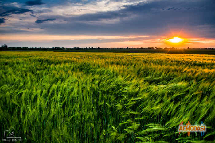 Дмитро  Буднік фото №1088477. Завантажено 07 Серпня 2017