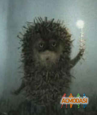 Евгения   фото №1051368. Завантажено 08 Травня 2017