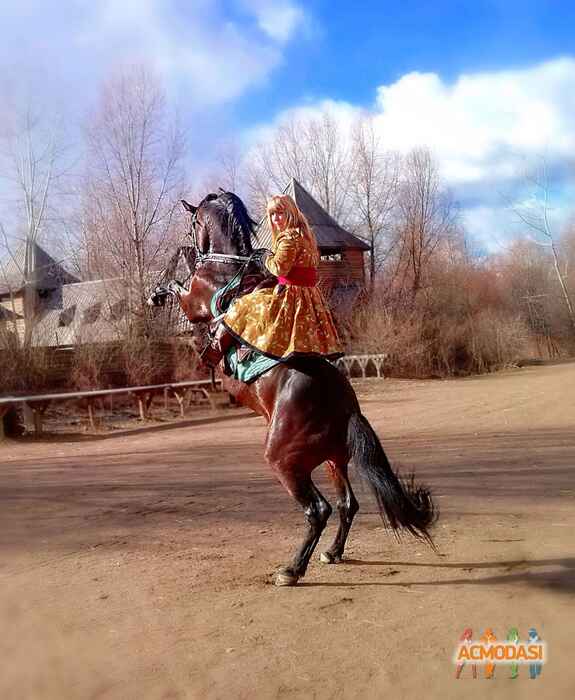 Ольга Олександрiвна Дармостук фото №1444145. Завантажено 04 Вересня 2019