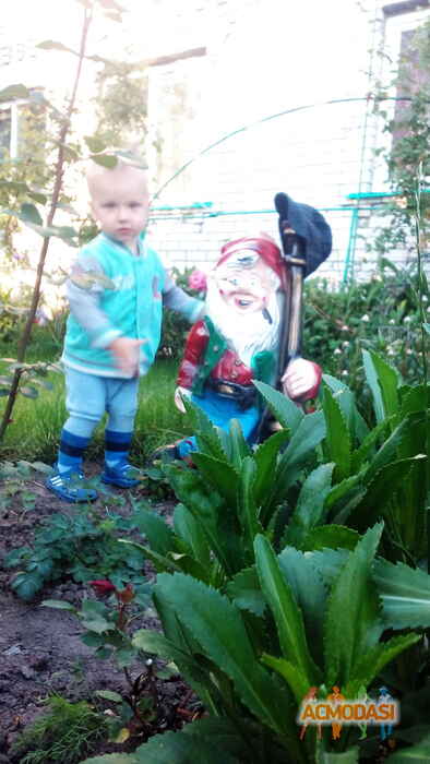 Майя Алексеевна Волынец фото №1067340. Завантажено 16 Червня 2017