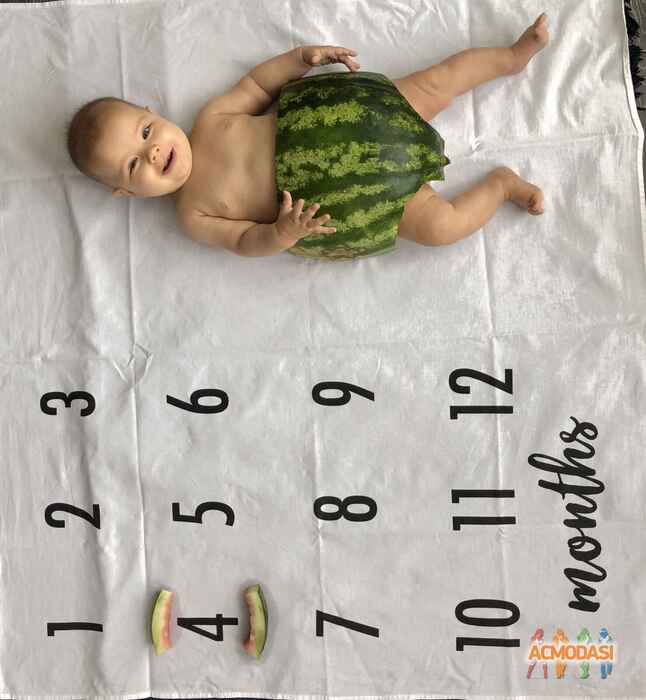 Василь  Тимощук фото №1447534. Завантажено 12 Вересня 2019