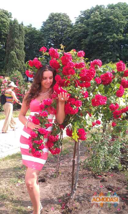 Ирина  Лозинская фото №46473. Завантажено Невідомо