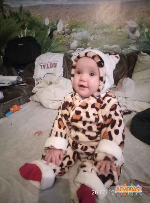 Віта Василівна Кравeць фото №1156673. Завантажено 25 Грудня 2017