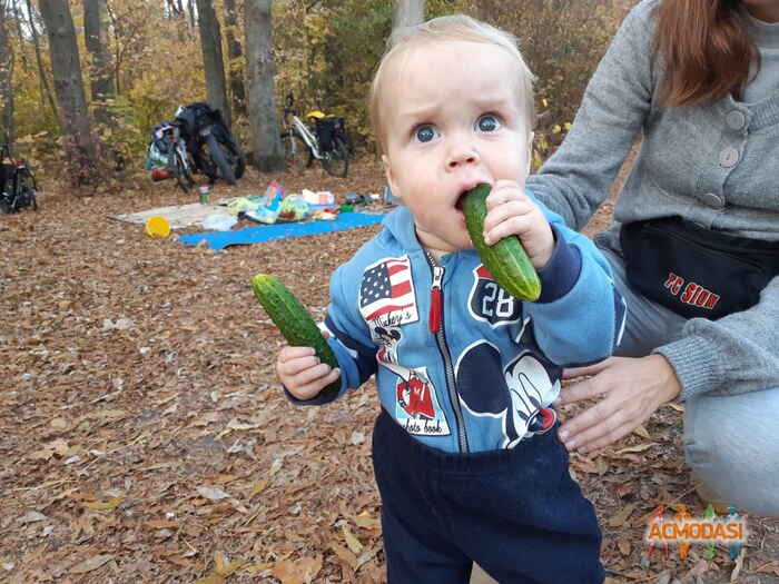 Nikita   фото №1465678. Завантажено 24 Жовтня 2019