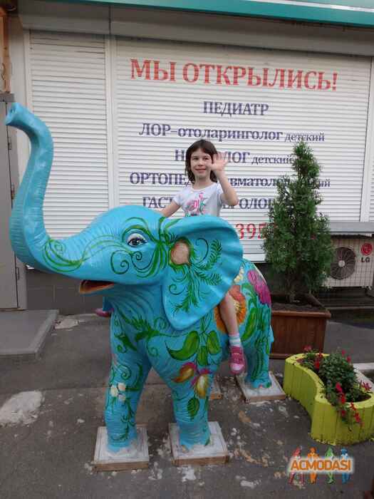 Софія Володимирівна Шуліка фото №943424. Завантажено 11 Серпня 2016