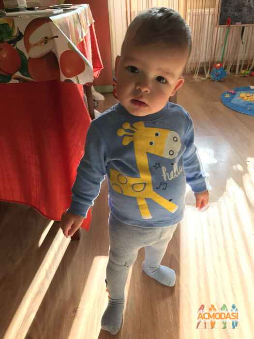 Марк Павлович Толстигін фото №1144658. Завантажено 28 Листопада 2017