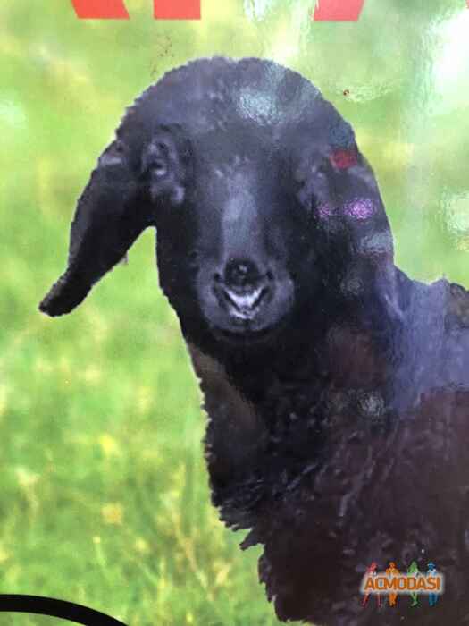 Михаил Изикович Шуфутинский фото №1478990. Завантажено 23 Листопада 2019