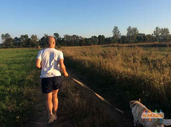 Олег Васильович Дзюба фото №1375018. Завантажено 09 Березня 2019