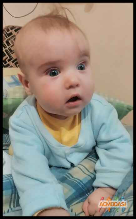 Михайло  Максимів фото №1045892. Завантажено 21 Квітня 2017