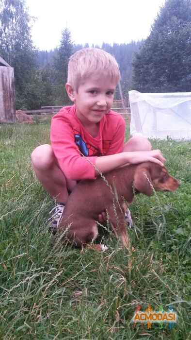 Діма  Єміров фото №1019177. Завантажено 11 Лютого 2017