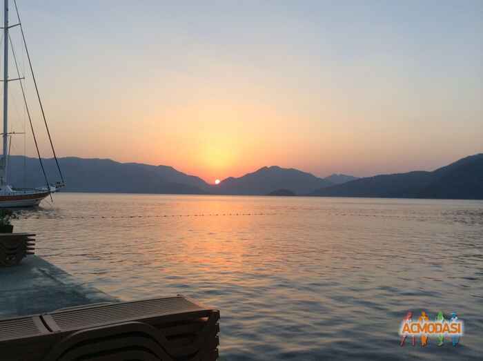 Yana   фото №1066608. Завантажено 15 Червня 2017