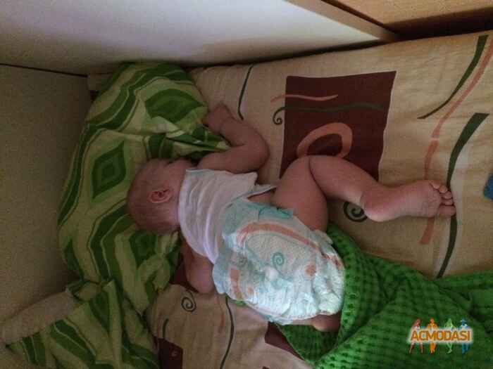 Галина Григорьевна Нерета фото №856432. Завантажено 29 Листопада 2015