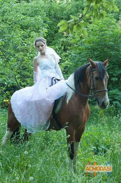 Снижана  Загребельна фото №256252. Завантажено 18 Вересня 2012