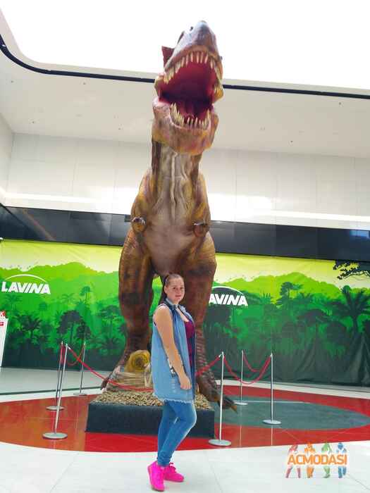 Татьяна  Зализна фото №1108427. Завантажено 24 Вересня 2017