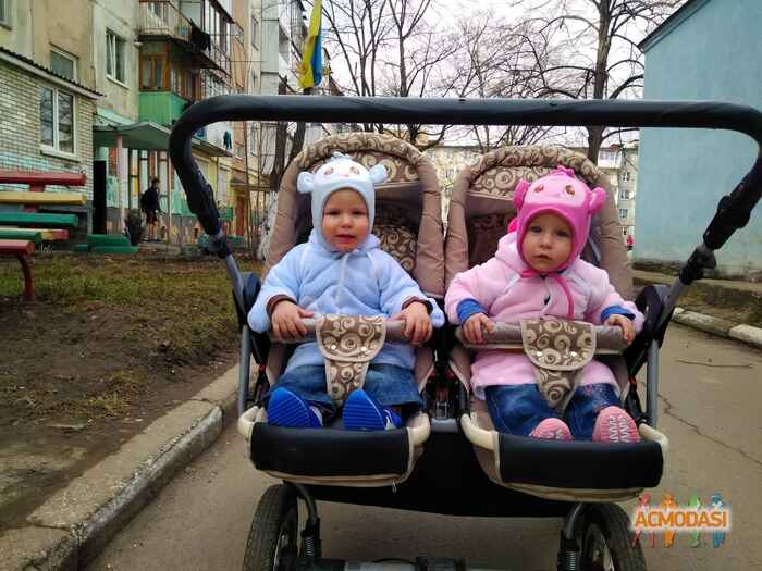 Олег Злата Іванович Лучко фото №1045501. Завантажено 20 Квітня 2017