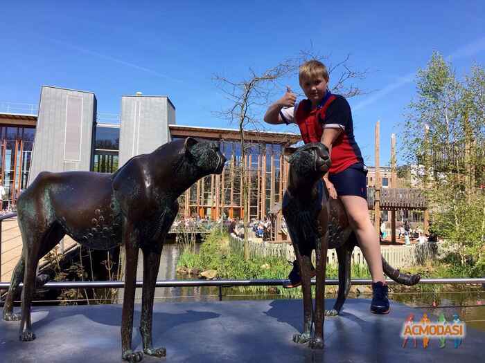 Вікторія   фото №911797. Завантажено 20 Травня 2016