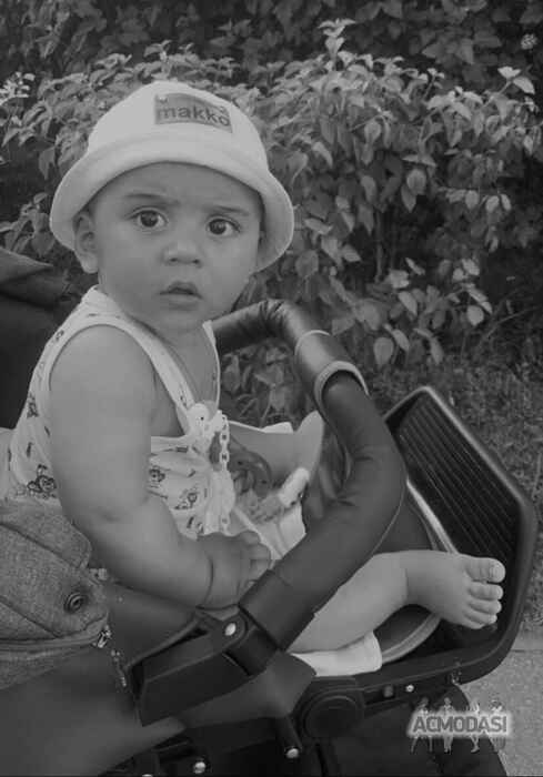 Лука   фото №1538305. Завантажено 12 Червня 2020